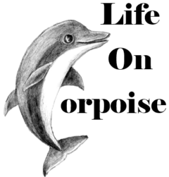 Life on Porpoise – The Blog